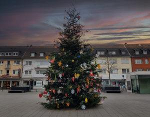 Frohe Weihnachten wünscht die Bürgervereinigung Rodenkirchen mit dem Foto des Tannenbaums am Maternusplatz